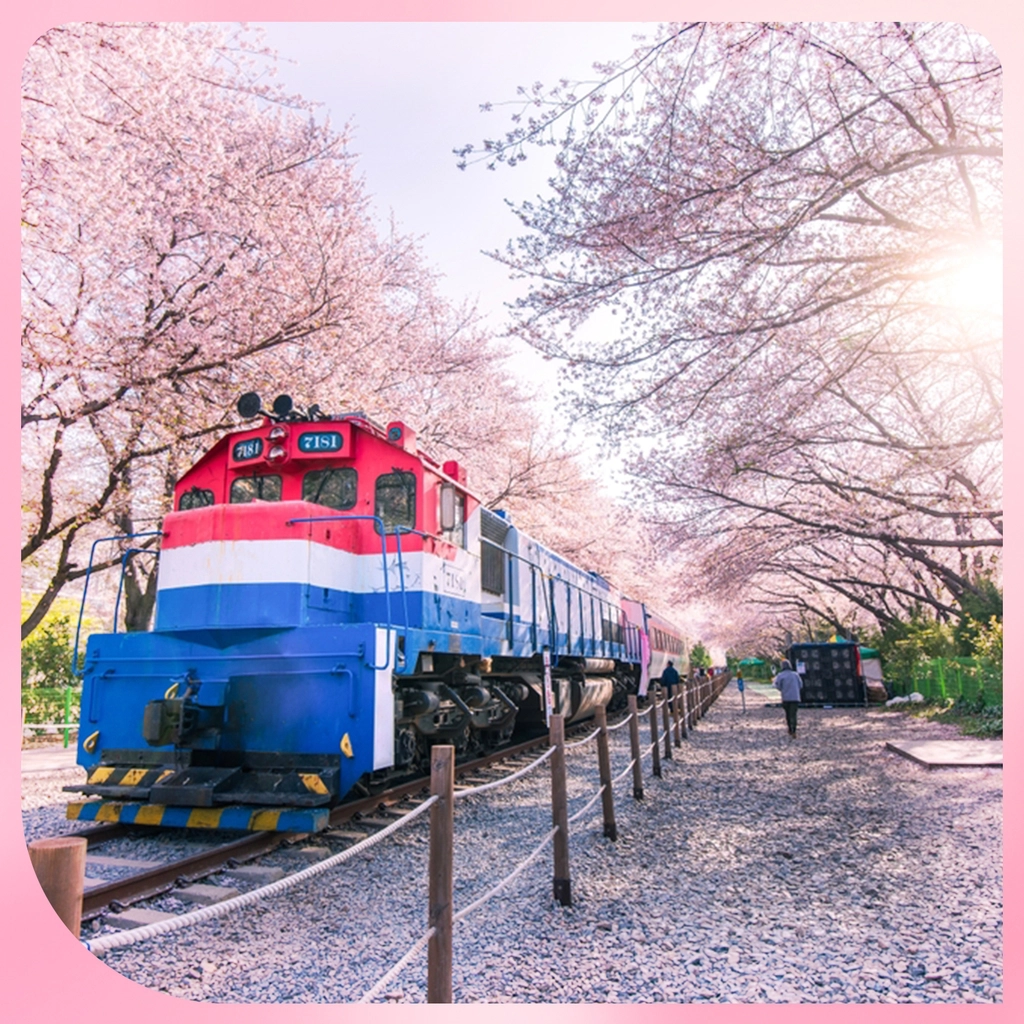 KOREA CHERRY BLOSSOM SEASON: SEOUL – NAMI – EVERLAND – 5D4N (AERO K)