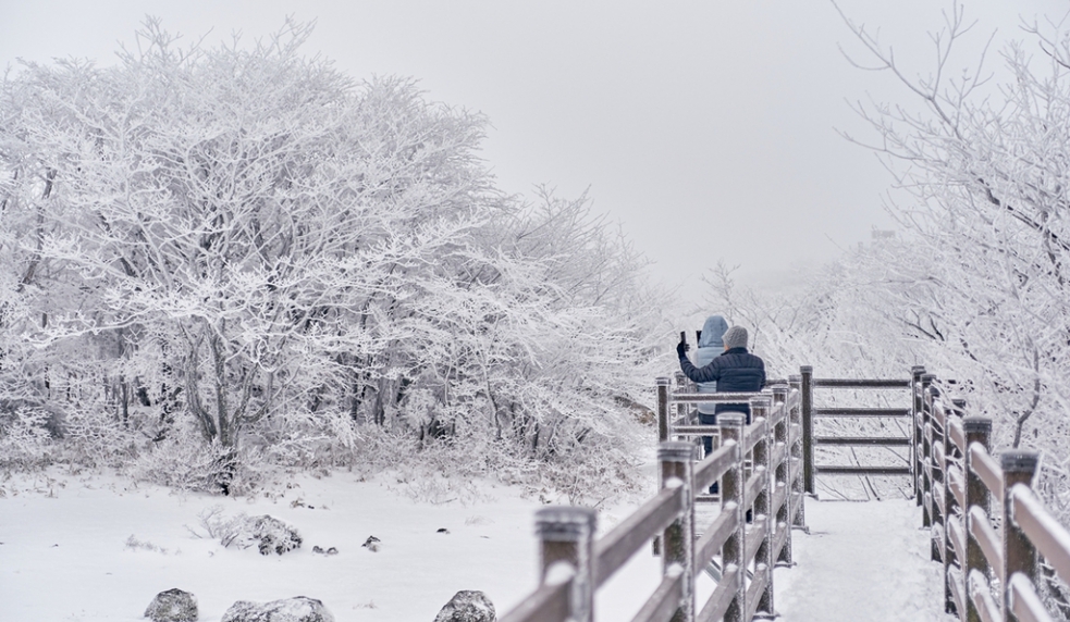 CELEBRATE THE YEAR OF THE SNAKE IN JEJU – SOUTH KOREA (VISA-FREE)