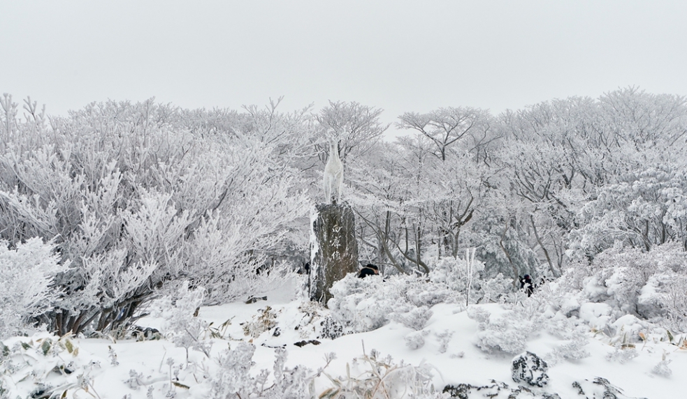 CELEBRATE THE YEAR OF THE SNAKE IN JEJU – SOUTH KOREA (VISA-FREE)