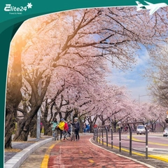 Tour Lễ 30/4 Hàn Quốc - Seoul - Nami - Everland