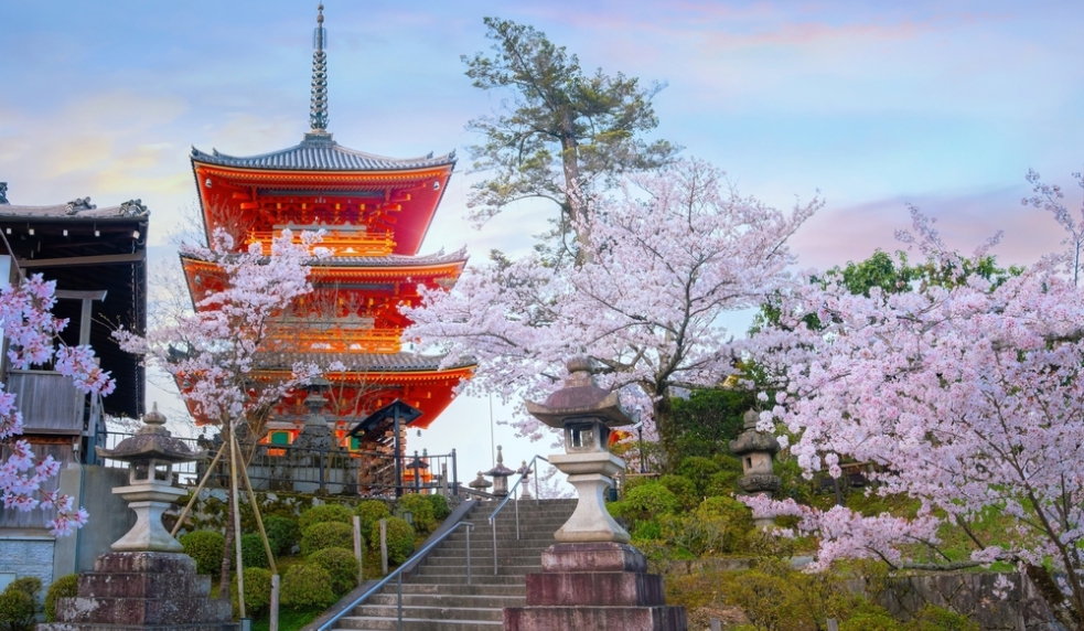 NHẬT BẢN CUNG ĐƯỜNG VÀNG & NGẮM HOA ANH ĐÀO: TOKYO - PHÚ SĨ - NAGOYA - KYOTO - OSAKA