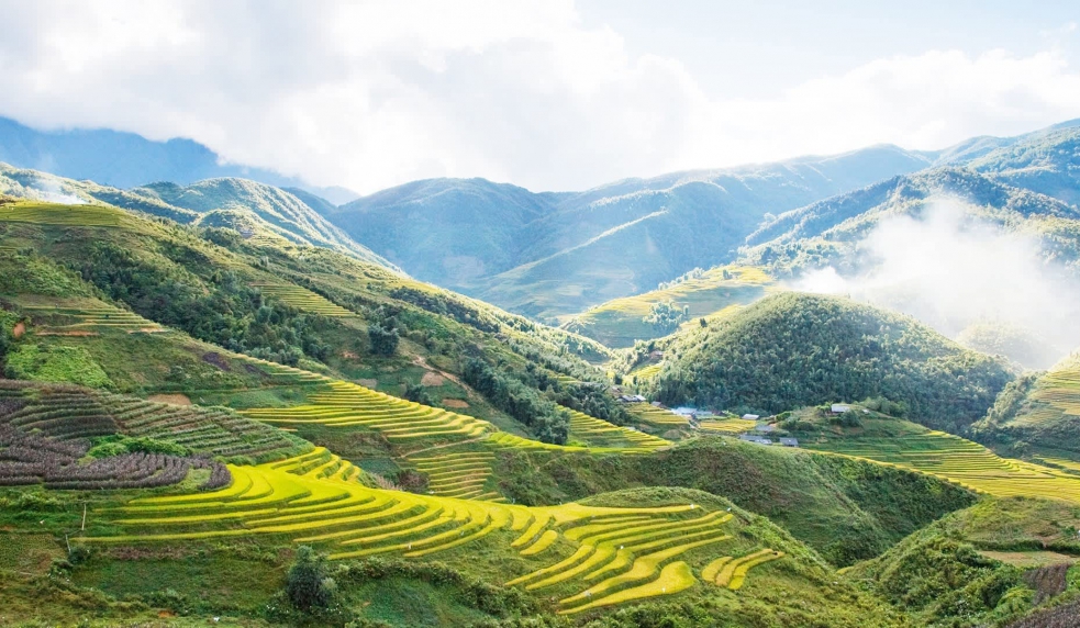 Tour du lịch Sapa - Cát Cát - Fansipan 2N1Đ