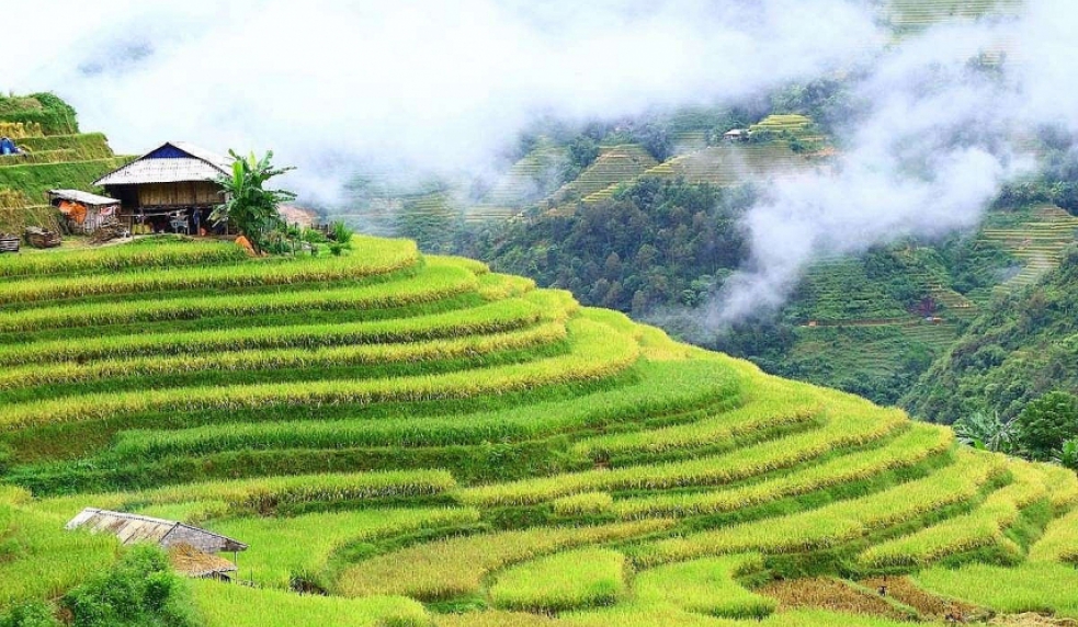 Tour Mộc Châu – Cầu Kính Bạch Long 2N1Đ (Homestay)