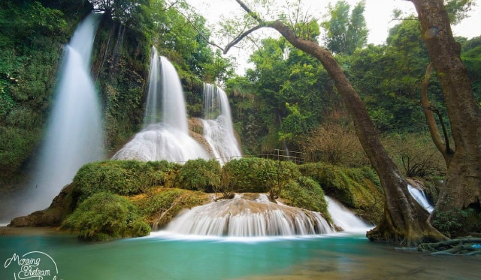 Tour Mộc Châu – Cầu Kính Bạch Long 2N1Đ (Homestay)