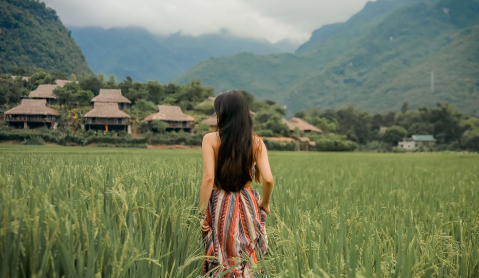 Tour Mộc Châu – Cầu Kính Bạch Long 2N1Đ (Homestay)