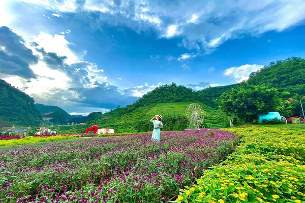 Tour Mai Châu – Mộc Châu – Cầu Kính Bạch Long 2N1Đ (Homestay)