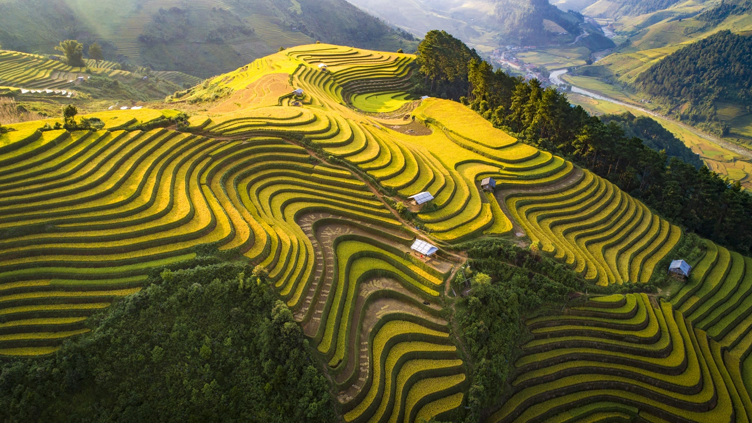 Tour Mù Cang Chải – Trạm Tấu 3N2Đ