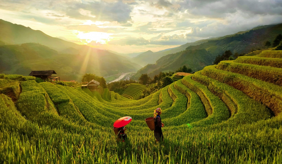 Tour Mù Cang Chải – Trạm Tấu 3N2Đ