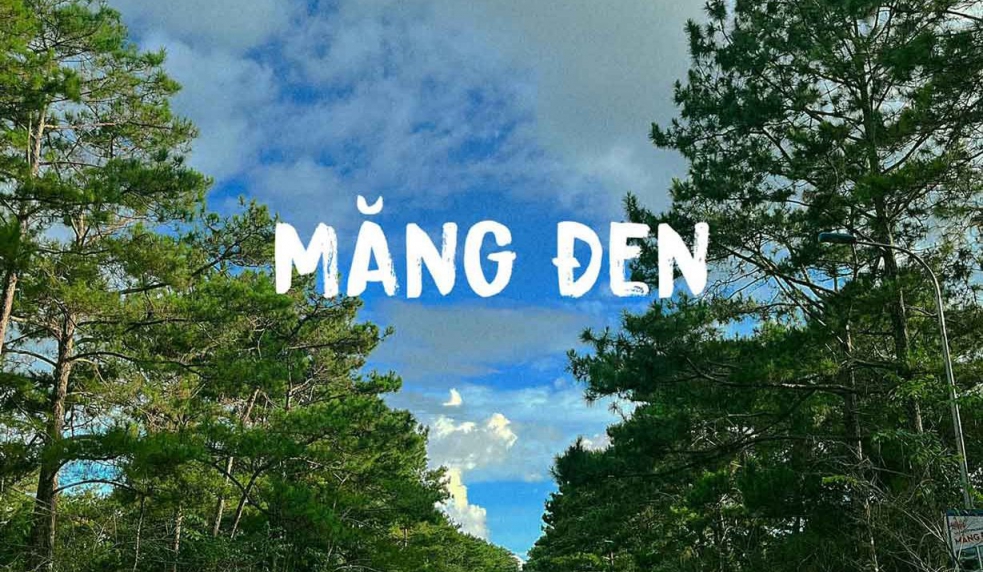 ĐÀ NẴNG – MĂNG ĐEN (3N2Đ) | Hành trình xanh giữa đại ngàn