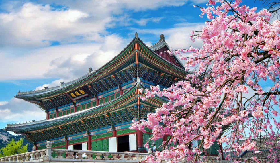 Tour Hàn Quốc Tết 2026: Seoul – Nami – Lotte World 5N4Đ