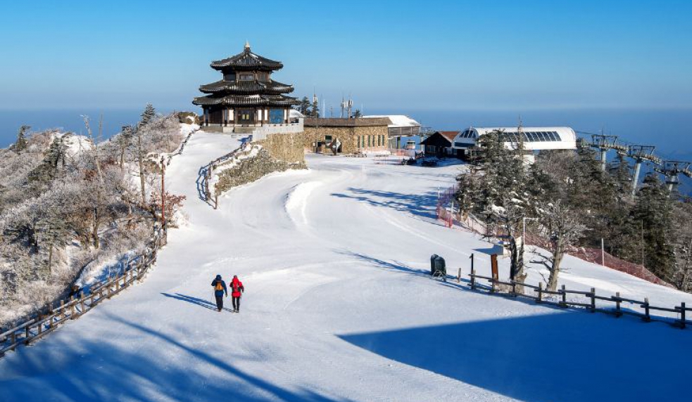 Tour Hàn Quốc Tết 2026: Seoul – Nami – Lotte World 5N4Đ