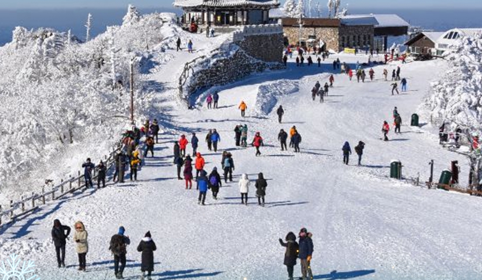 Tour Hàn Quốc Từ Đà Nẵng 5N4Đ – Săn Tuyết Mùa Đông, Bay Thẳng Seoul