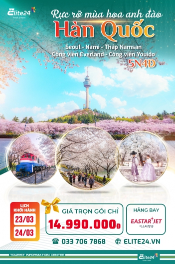 Tour Hàn Quốc từ Đà Nẵng 5N4Đ – Mùa hoa anh đào Hàn Quốc 2026